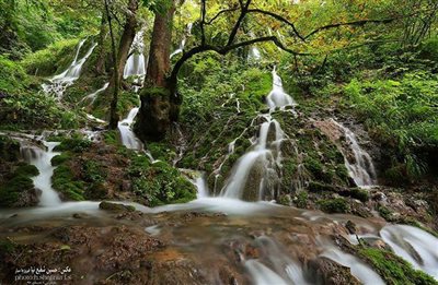 ثبت شرکت در مازندران