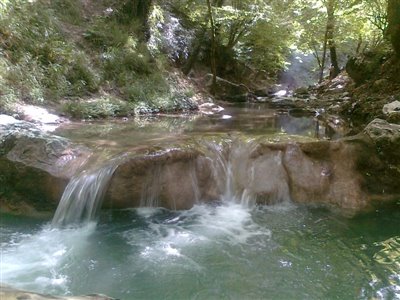 ثبت شرکت در گلستان