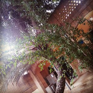 ثبت شرکت در خوزستان