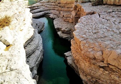 ثبت شرکت در هرمزگان